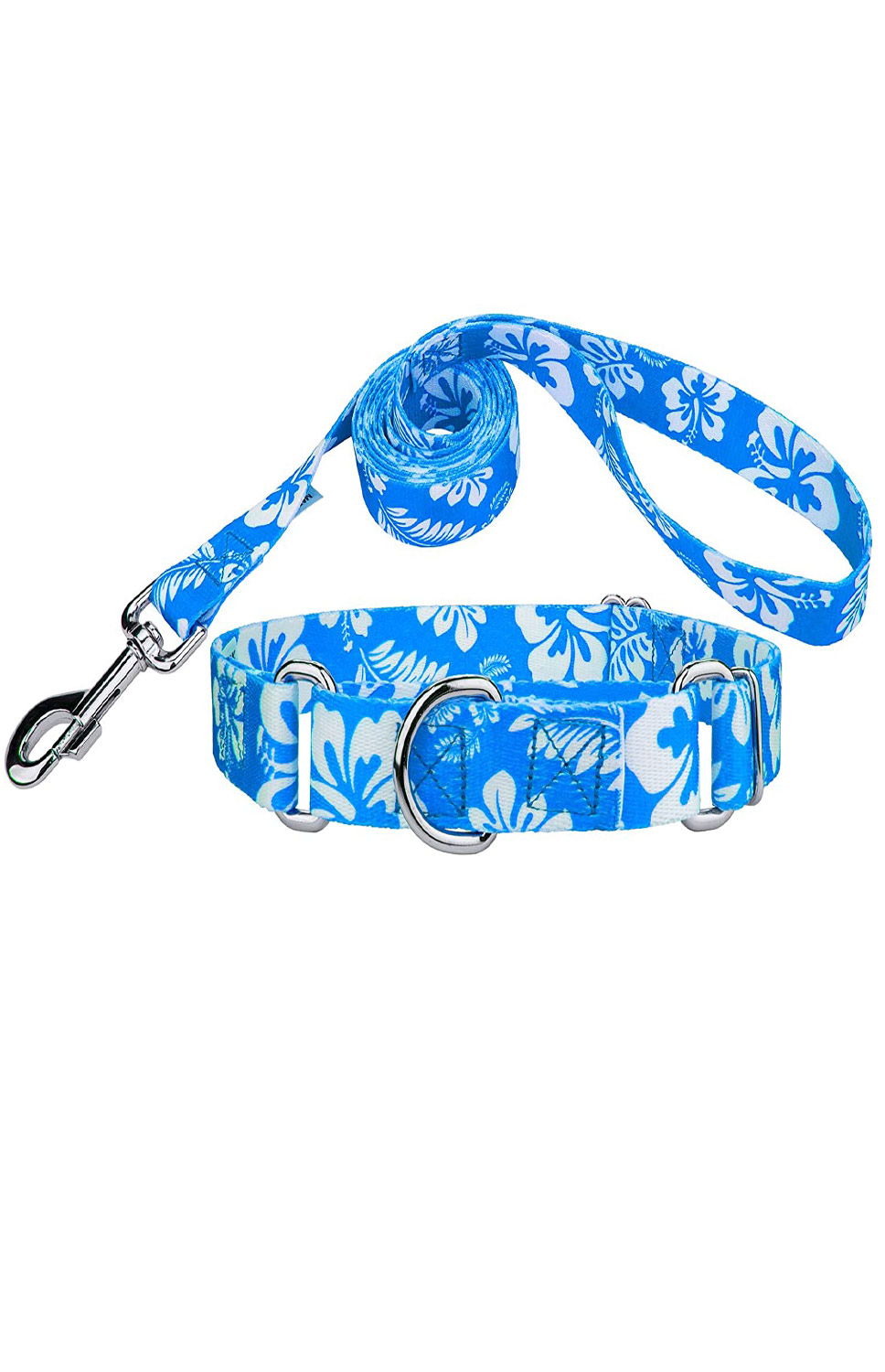 Country Brook Design Martingale Collar & Leash 